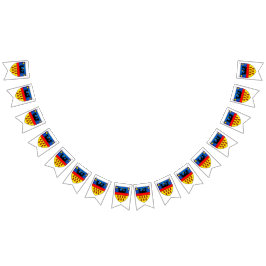 Transsylvanië-vlaggen Vlaggetjes