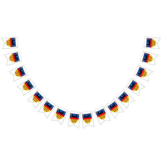 Transsylvanië-vlaggen Vlaggetjes (Alle)