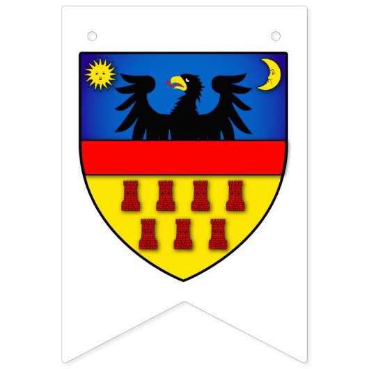 Transsylvanië-vlaggen Vlaggetjes (Tweede vlag)
