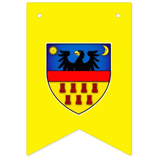 Transsylvanië-vlaggen Vlaggetjes (Tweede vlag)