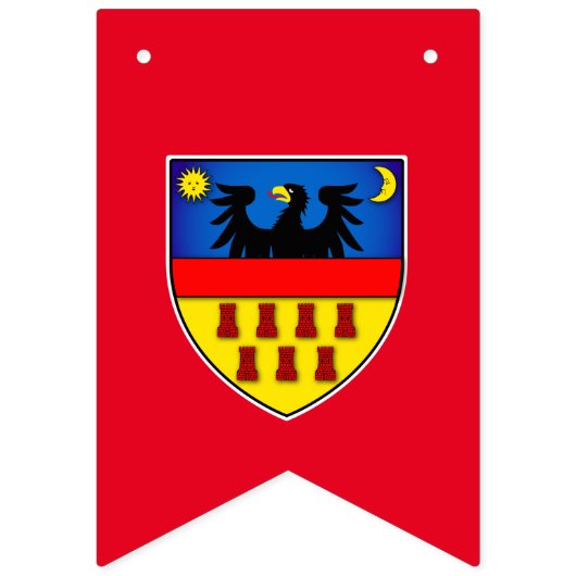 Transsylvanië-vlaggen Vlaggetjes (Eerste vlag)