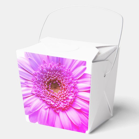 Transvaal daisy grafiek Kleur Bloem Bedankdoosjes (Voorkant)