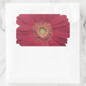 Transvaaldaisy Vaak Rechthoekige Sticker (Tas)