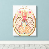 Transversale sectie van de middenhersenen canvas afdruk (Insitu (Houten vloer))