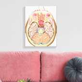 Transversale sectie van de middenhersenen canvas afdruk (Insitu (Woonkamer))