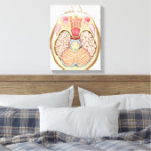 Transversale sectie van de middenhersenen canvas afdruk (Insitu (Slaapkamer))