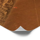 Trap in mikwe badhuis poster (Hoek)