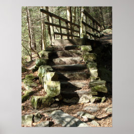 Trap naar Bossen Poster