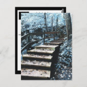 trap-nachtvluchten briefkaart (Voorkant / Achterkant)