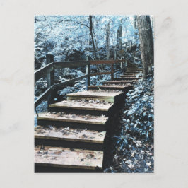 trap-nachtvluchten briefkaart