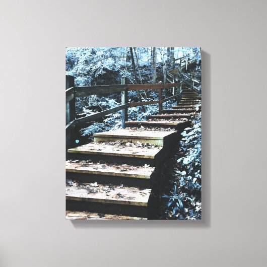 trap-nachtvluchten canvas afdruk (Voorkant)