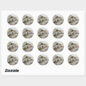 Trapeze artiesten ronde sticker (Vel)