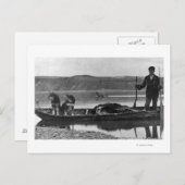 Trapper in Canoe met huiden en honden Alaska Briefkaart (Voorkant / Achterkant)