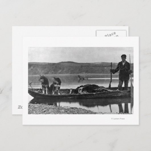 Trapper in Canoe met huiden en honden Alaska Briefkaart (Voorkant / Achterkant)