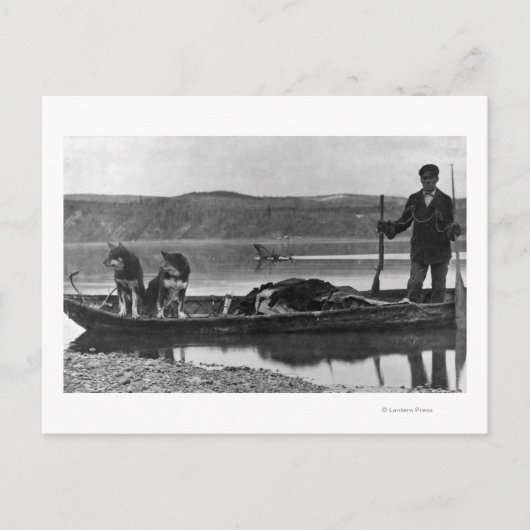 Trapper in Canoe met huiden en honden Alaska Briefkaart (Voorkant)