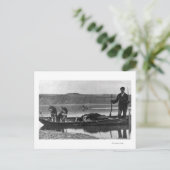 Trapper in Canoe met huiden en honden Alaska Briefkaart (Staand voorkant)