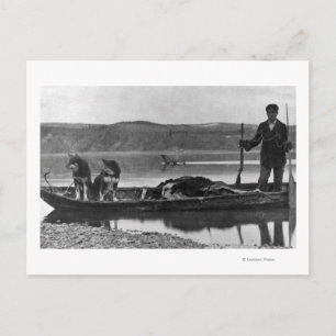 Trapper in Canoe met huiden en honden Alaska Briefkaart
