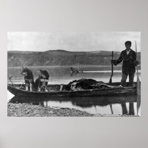 Trapper in Canoe met huiden en honden Alaska Poster