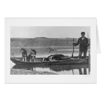 Trapper met Hides & Dogs Alaska 1906