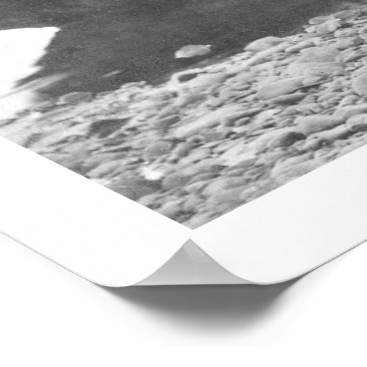 Trapper met huiden en honden Alaska 1906 Poster (Hoek)