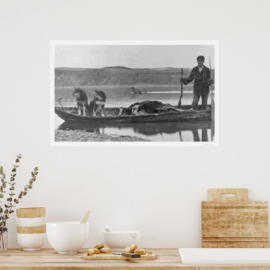 Trapper met huiden en honden Alaska 1906 Poster (Keuken)