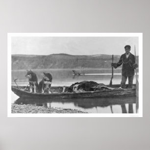 Trapper met huiden en honden Alaska 1906 Poster