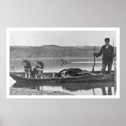 Trapper met huiden en honden Alaska 1906 Poster (Voorkant)