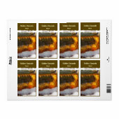 Trapsgewijs bierflesje ~ etiket (Full Sheet)