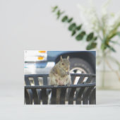 Trashcan Squirrel Briefkaart (Staand voorkant)
