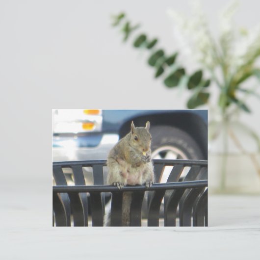 Trashcan Squirrel Briefkaart (Staand voorkant)