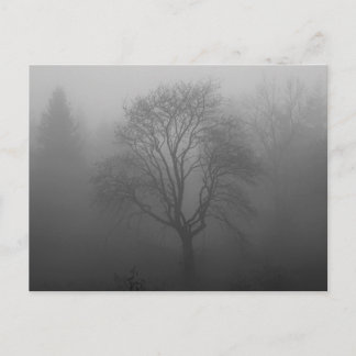 Trauerkarte Briefkaart