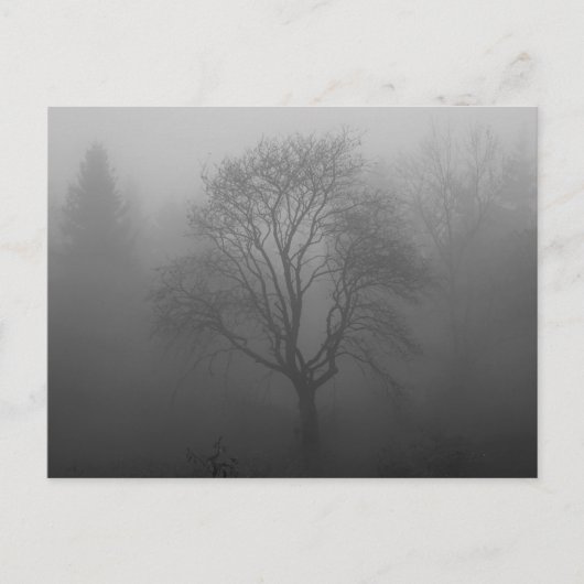 Trauerkarte Briefkaart (Voorkant)