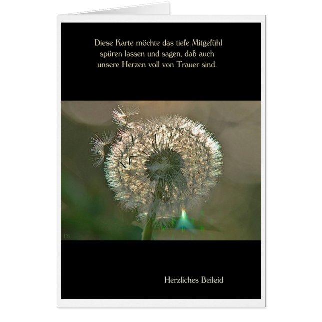 Trauerkarte Pusteblume Herzliches Beileid (Voorkant)