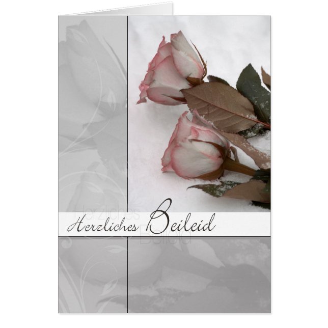 Trauermotiv: Rosen im Schnee (Voorkant)