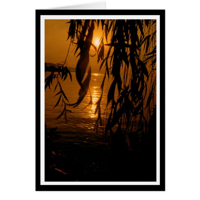 Trauerweide mit Sonnenuntergang Karte (Voorkant)