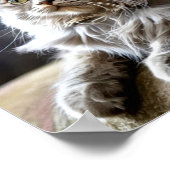 Traurig en Eenzaam Huisdieren Poster Print: Eén Da (Hoek)