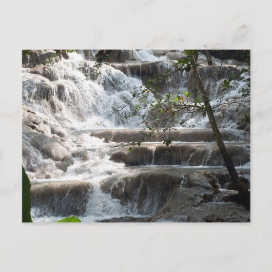 Travel Art Dunns River Herfsten Jamaica Briefkaart (Voorkant)