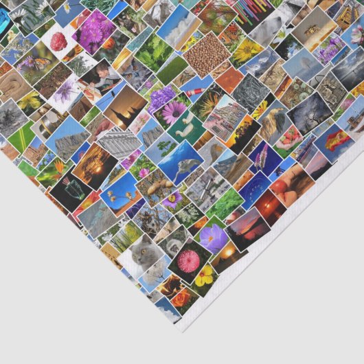 travel briefkaarten tissue tissuepapier (Detail)