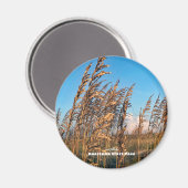 Travel | Florida - Anastasia St Park Zee Haver Magneet (Voorkant / Achterkant)