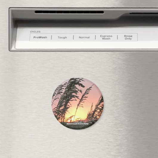 Travel | Florida — Anastasia Zee haats Magneet (Insitu (Vaatwasser))