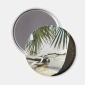 Travel | Florida - Cape San Blas Driftwood Beach Magneet (Voorkant / Achterkant)