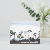 Travel | Florida - Eagles Nest, St. Marks Wildlife Briefkaart (Staand voorkant)