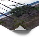 Travel | Florida - Eagles Nest, St. Marks Wildlife Poster (Hoek)