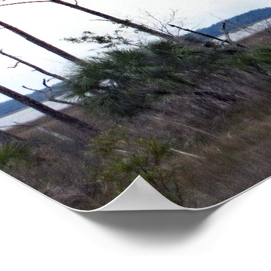 Travel | Florida - Eagles Nest, St. Marks Wildlife Poster (Hoek)