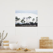 Travel | Florida - Eagles Nest, St. Marks Wildlife Poster (Keuken)