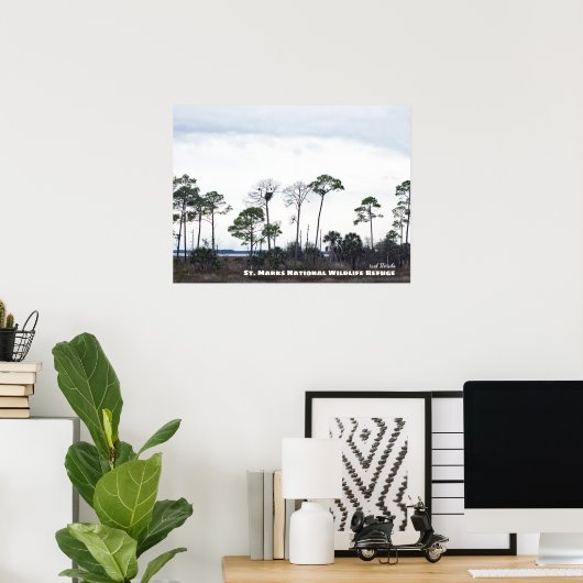 Travel | Florida - Eagles Nest, St. Marks Wildlife Poster (Thuiskantoor)