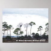 Travel | Florida - Eagles Nest, St. Marks Wildlife Poster (Voorkant)