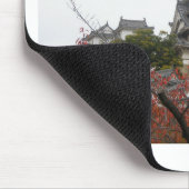 Travel Himeji Castle Muismat (Hoek)