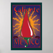 TRAVEL-Mexico Poster (Voorkant)