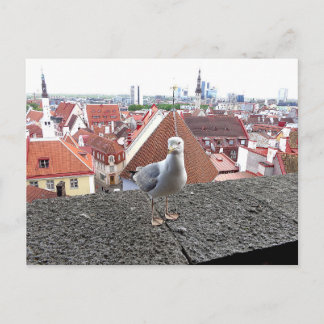 Travel photo. Estonia, Tallinn Briefkaart